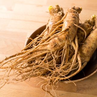 Ginseng